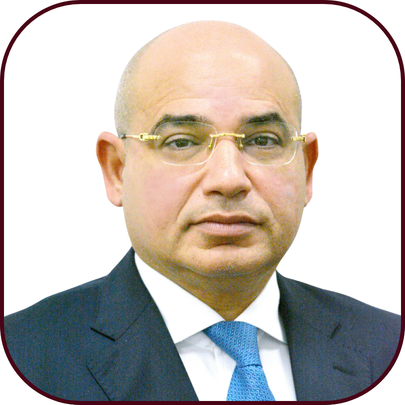 H.E. Minister Plenipotentiary Mostafa Shaikhon Profile